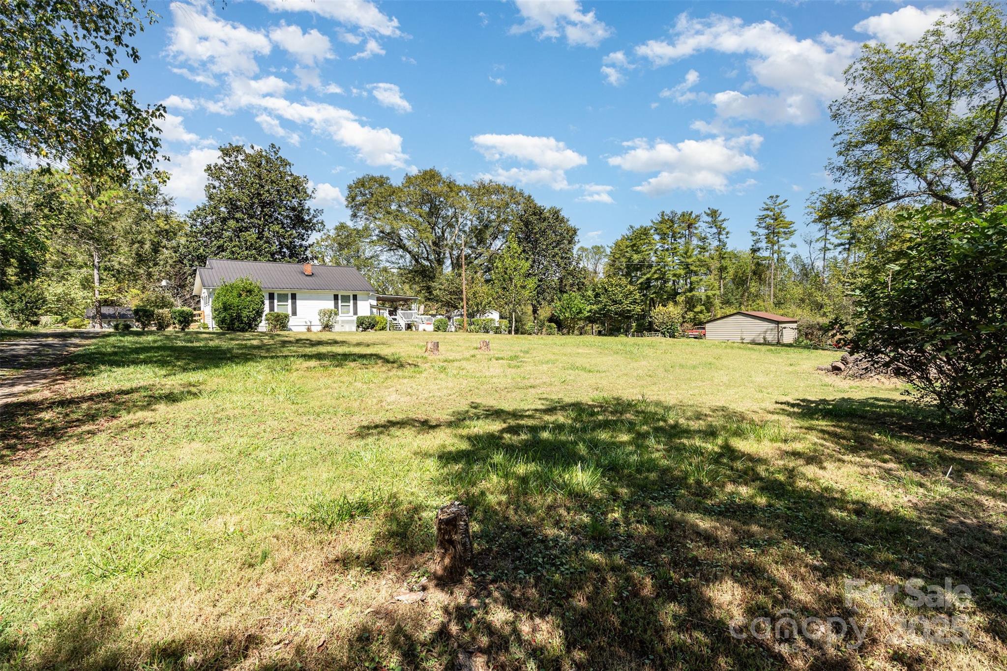1245 Harrison Loop Morganton, NC 28655 - Photo 16 of 20 a view of a yard with plants and trees