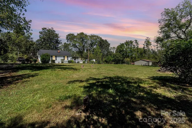 a view of a field with lots of trees
