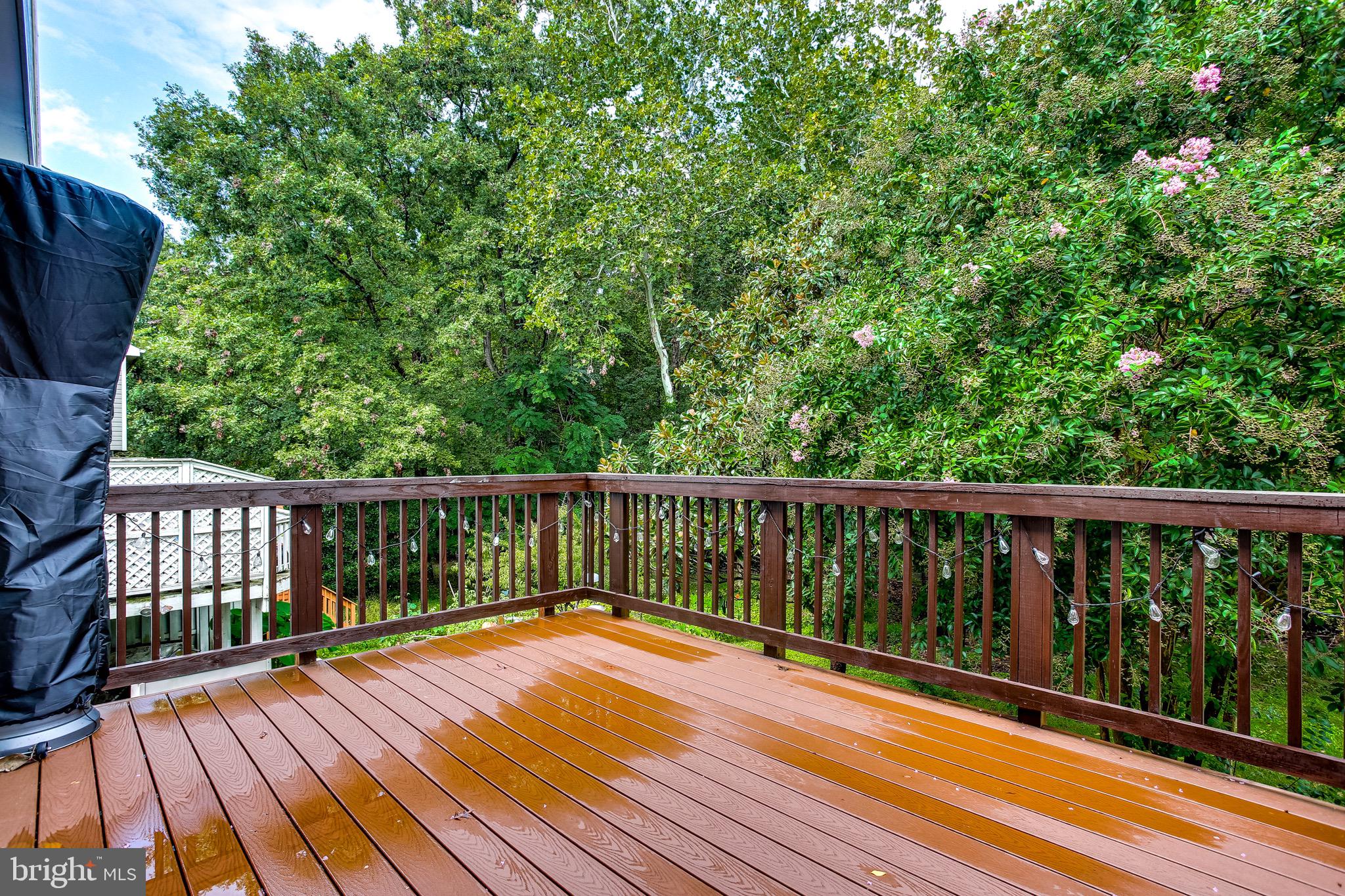 8012 Brightfield Road Ellicott City, MD 21043 - Photo 30 of 31 View from mail level deck