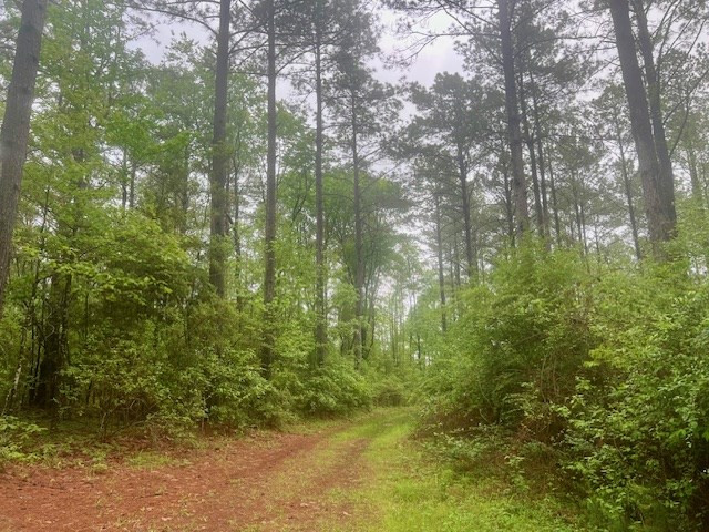0 Coleman Road Liberty, MS 39645 - Photo 3 of 25 Photo 3