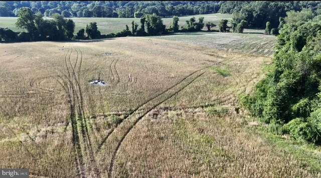 a view of a pathway with a yard