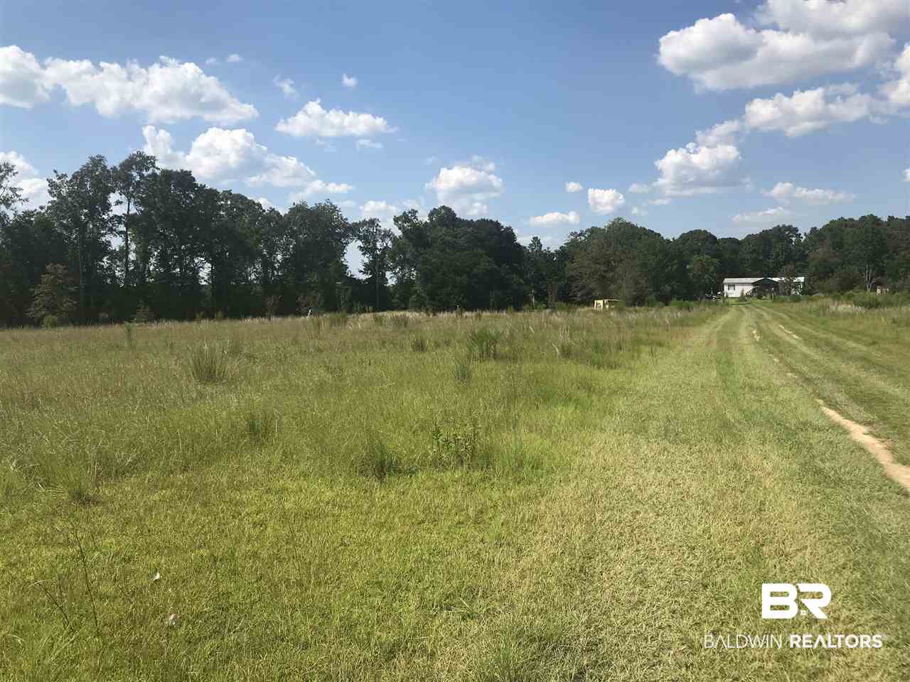 8480 Sand Ridge Road Citronelle, AL 36522 - Photo 7 of 8