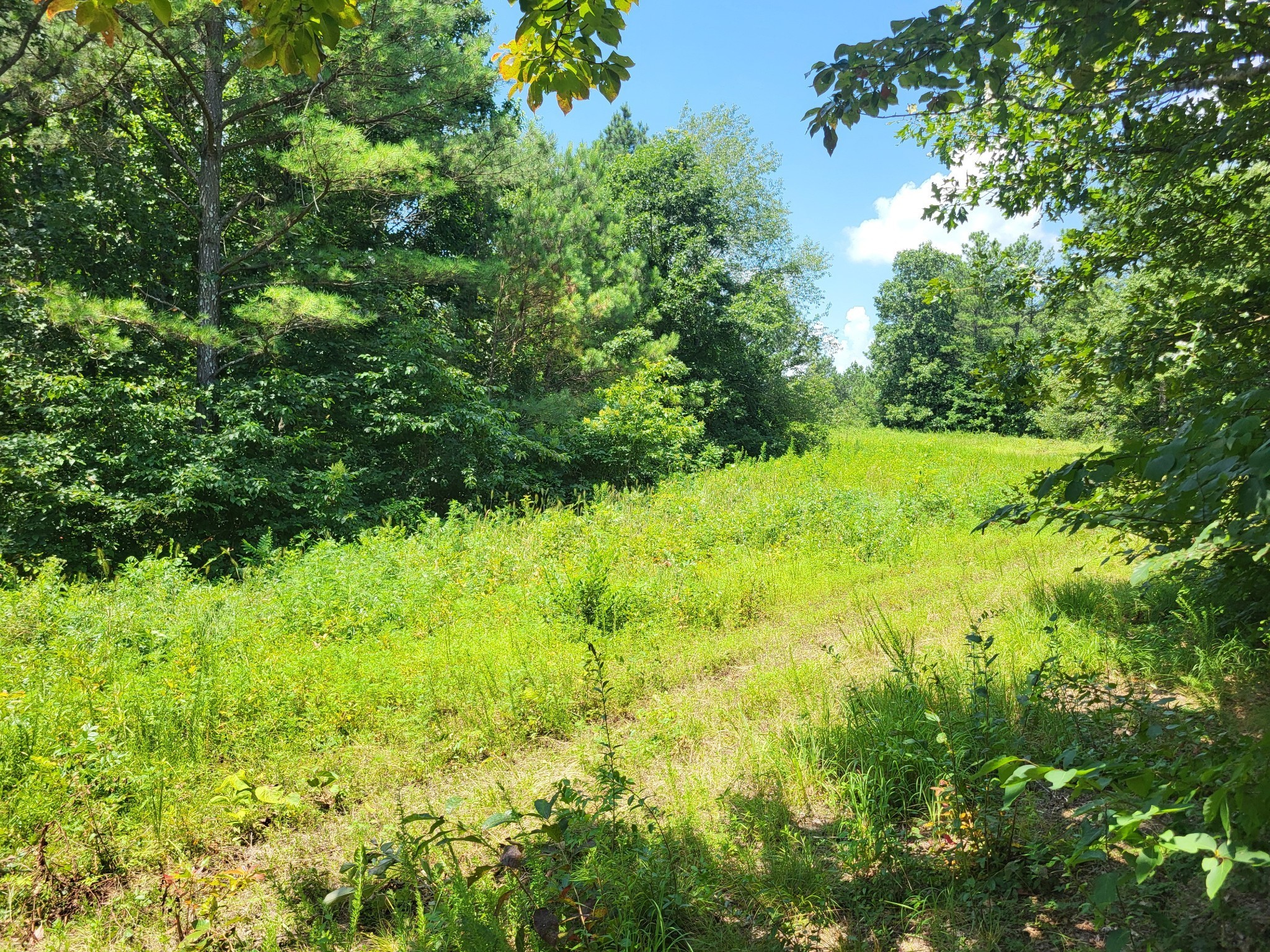 12946 Birdsong Road Holladay, TN 38341 - Photo 8 of 14 Gallery Image 8
