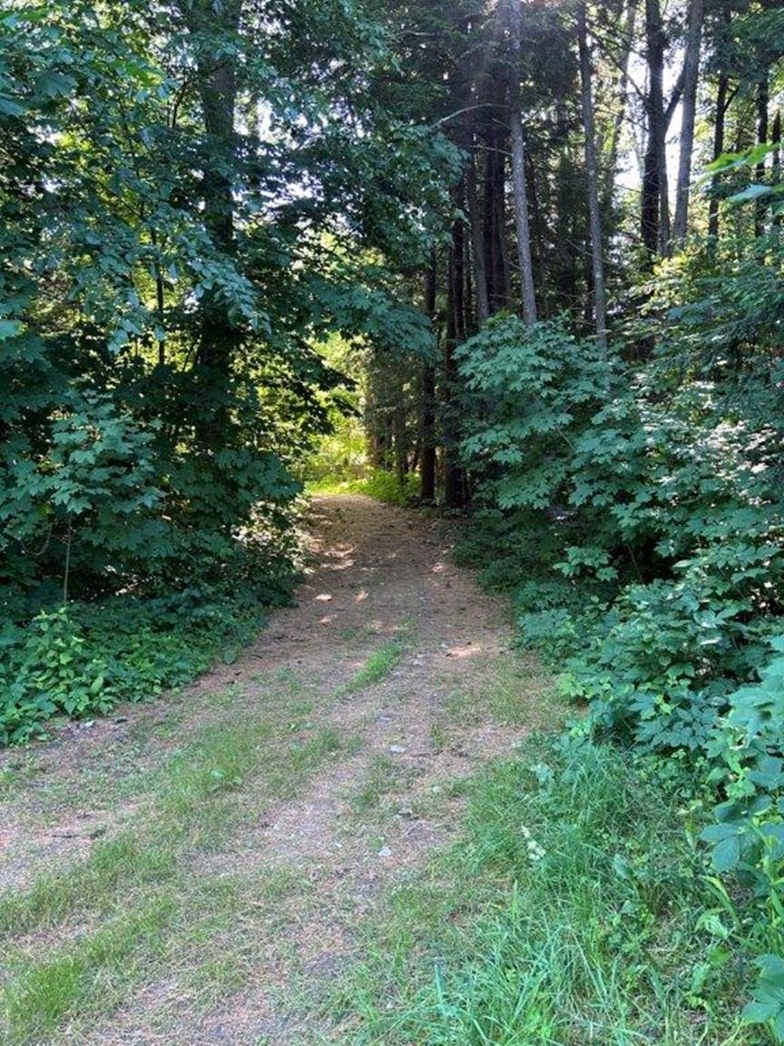 3 Wilson Pond Road Swanzey, NH 03431 - Photo 21 of 23 Gallery Image 21