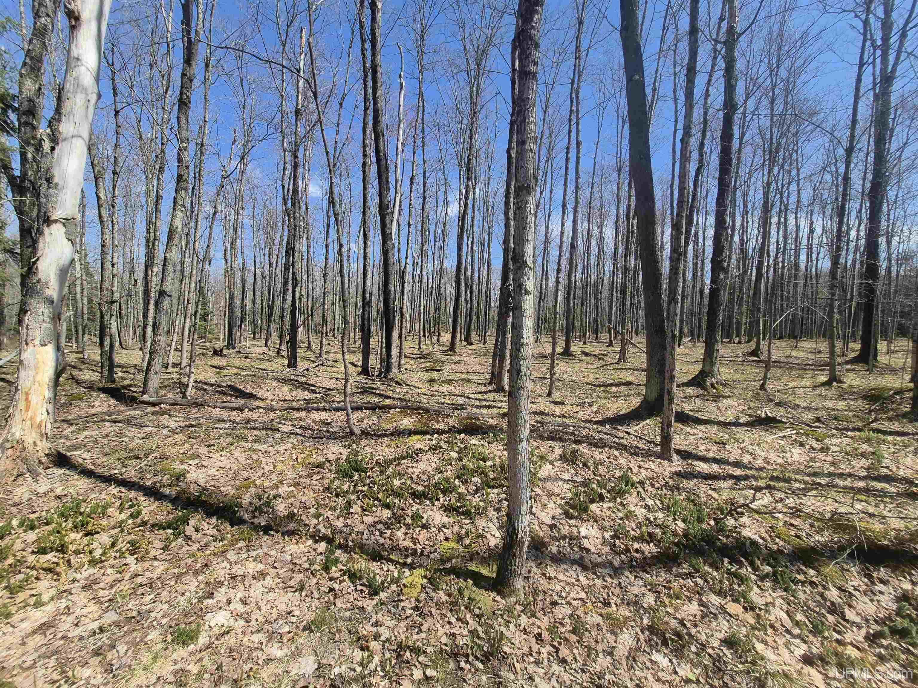 12-acres Salmon Road L'Anse, MI 49946 - Photo 33 of 39