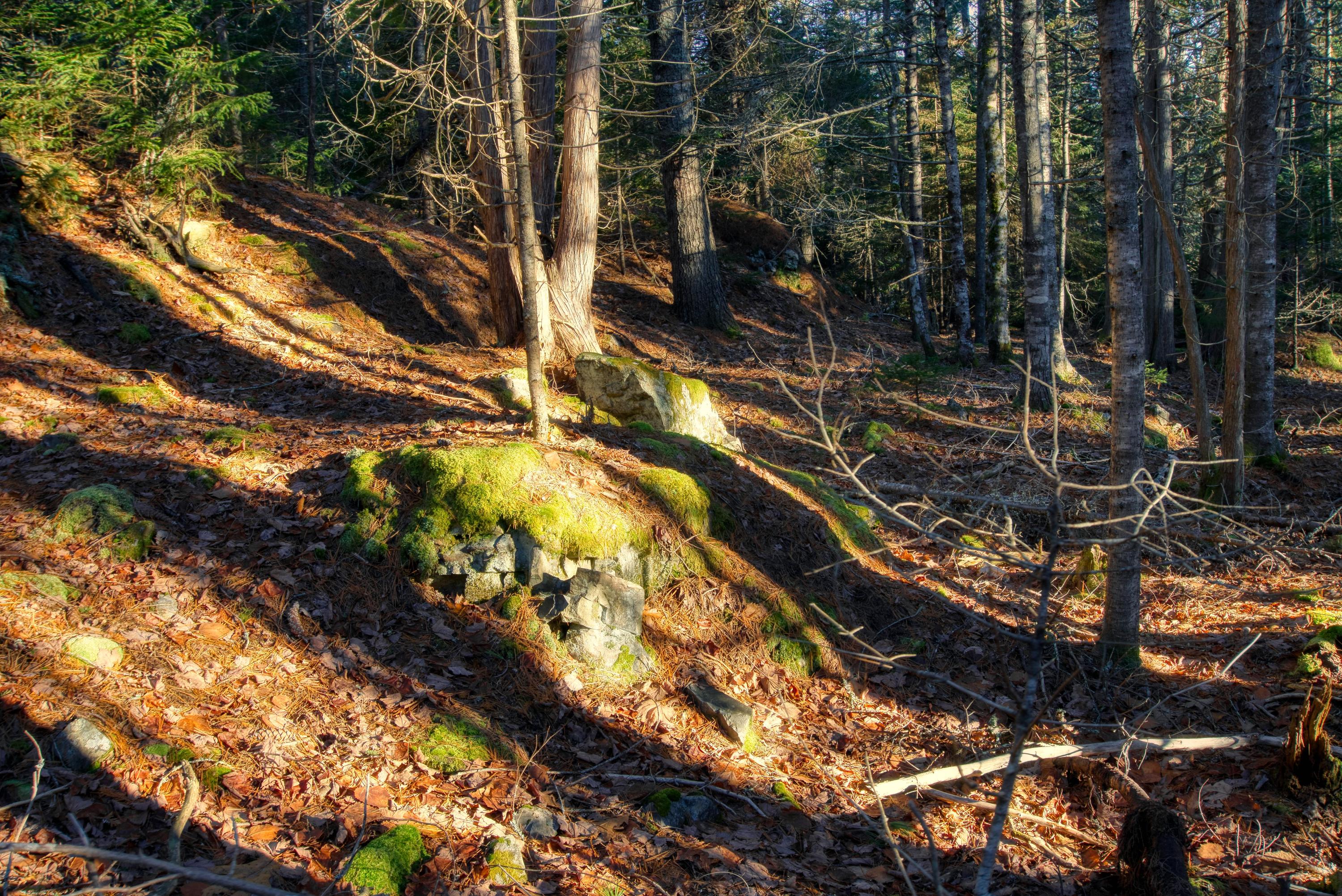 Tbd East Side Road Hancock, ME 04640 - Photo 6 of 16 inwoods view (4)