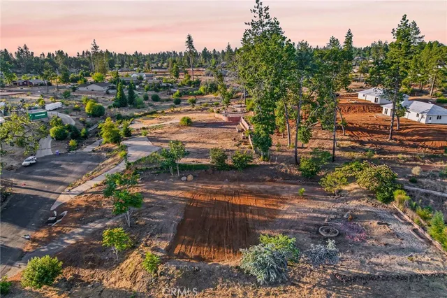 a view of a yard with a tree