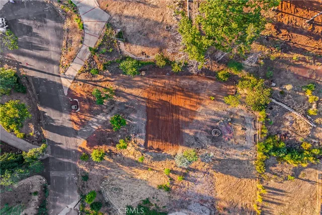a view of a yard with plants and large trees
