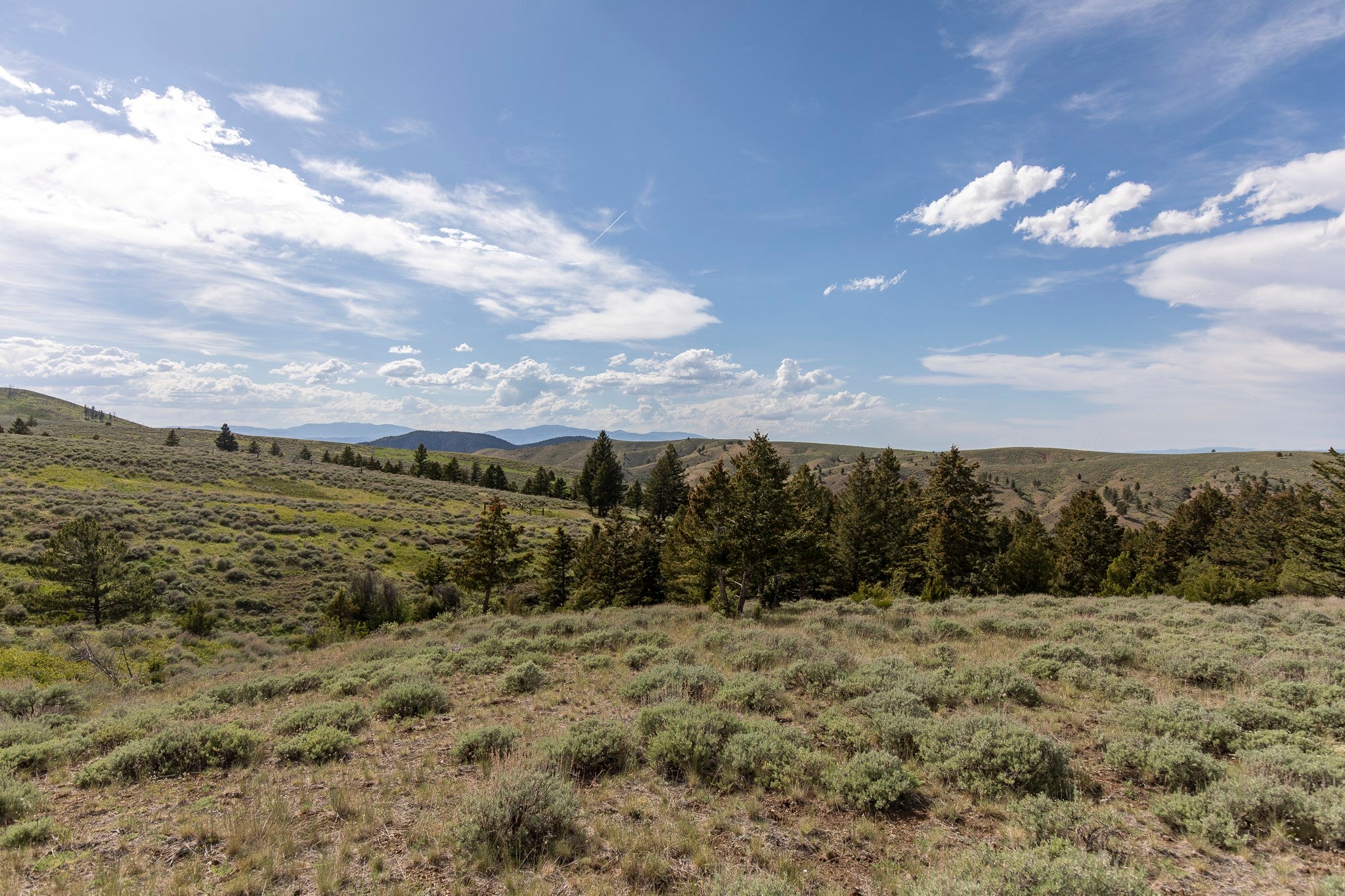 386 Ross Gulch Road Townsend, MT 59644 - Photo 14 of 46 Gallery Image 14
