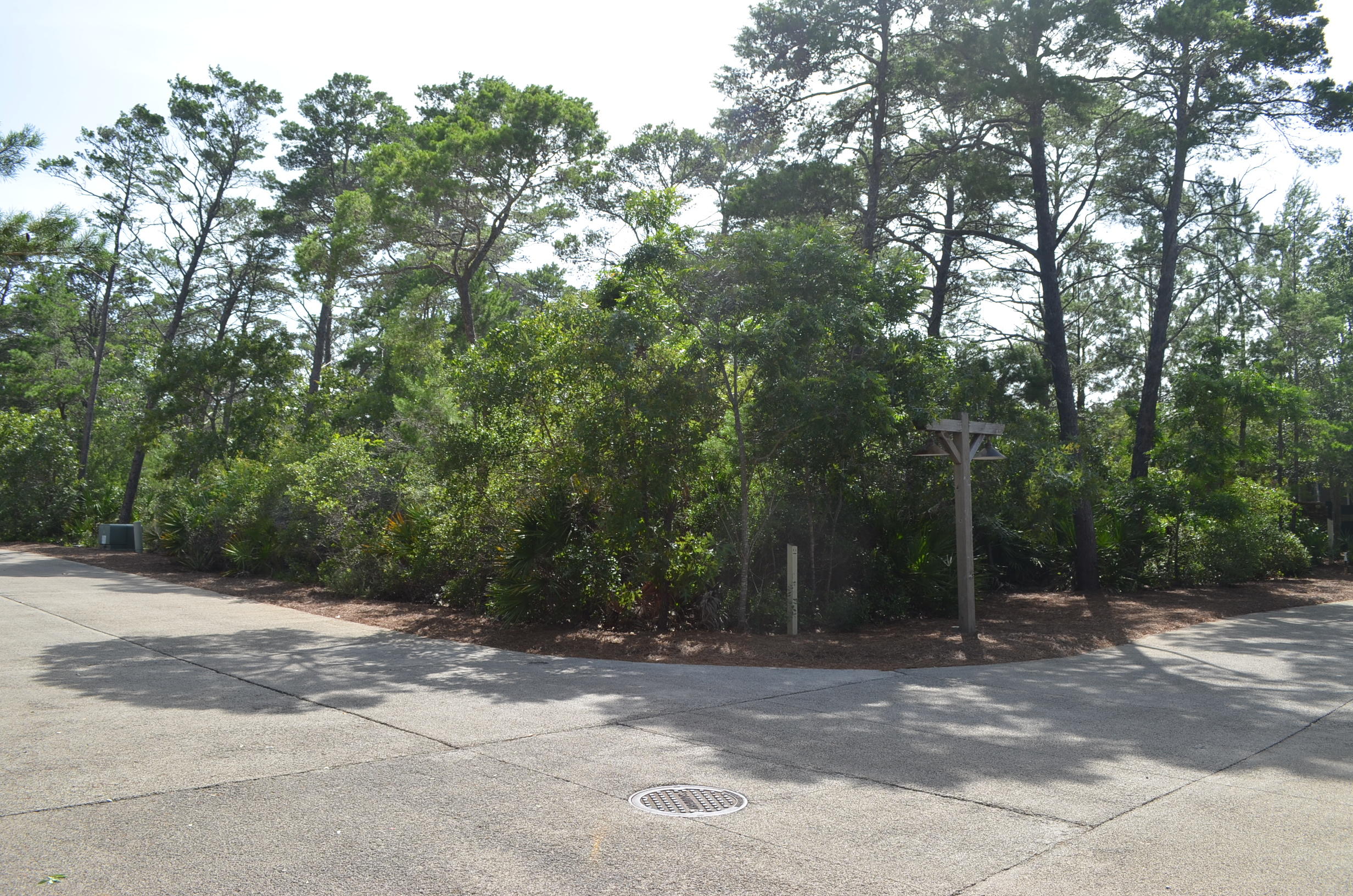 L-1-b-1 West Cedar Bend Road Santa Rosa Beach, FL 32459 - Photo 3 of 18 a view of a field with trees in the background