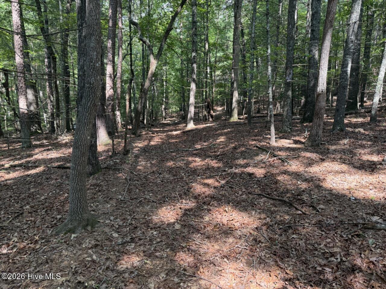 919 Panther Top Road Murphy, NC 28906 - Photo 9 of 14 Gallery Image 9