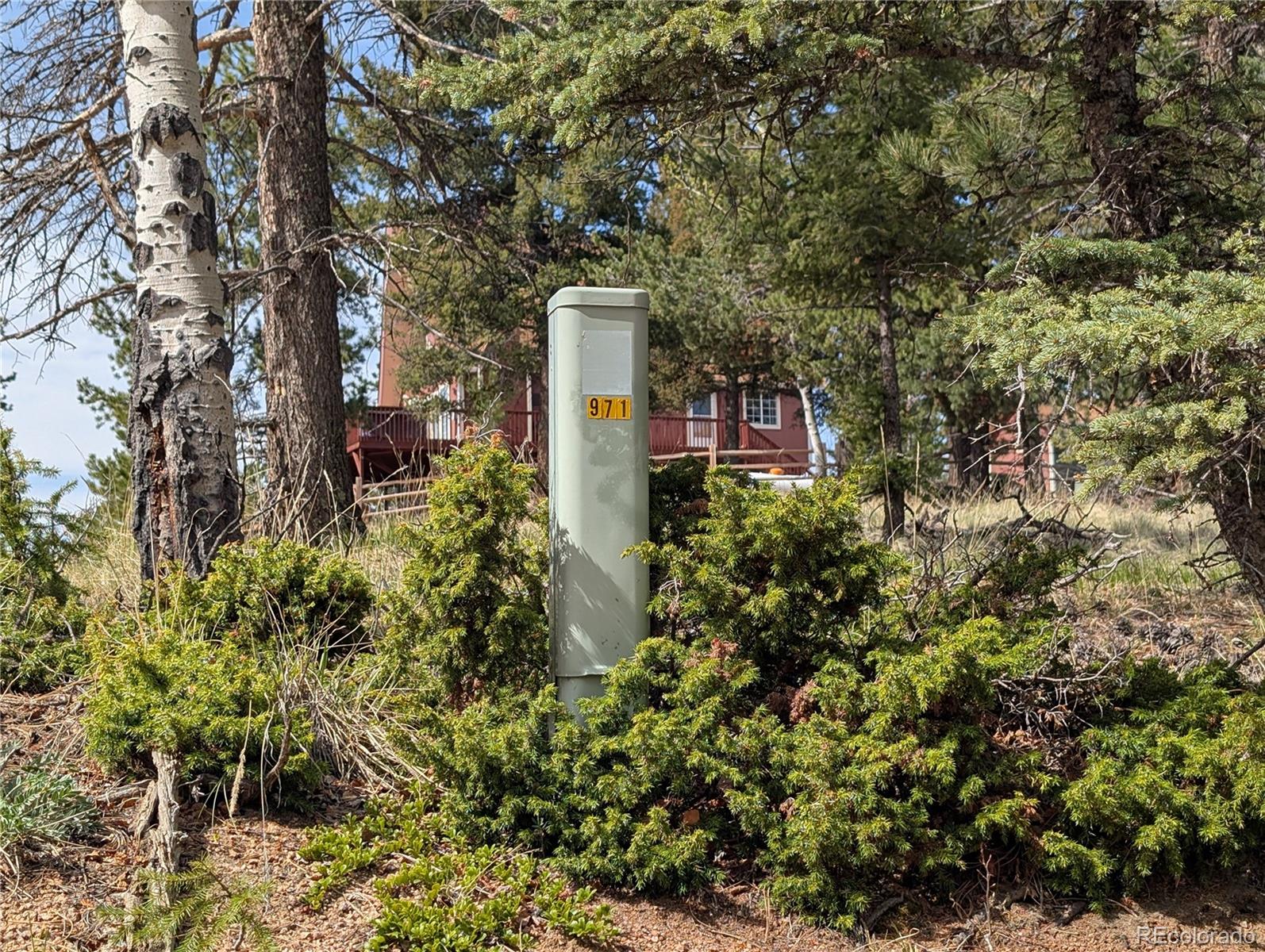 971 Spring Valley Lane Florissant, CO 80816 - Photo 13 of 14 a picture of trees