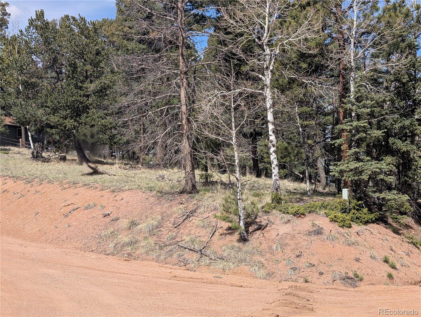 971 Spring Valley Lane Florissant, CO 80816 - Photo 2 of 14 a view of a yard covered in snow