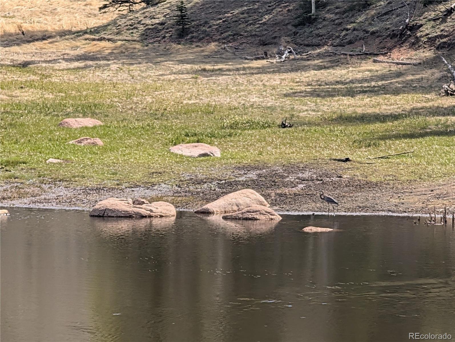 971 Spring Valley Lane Florissant, CO 80816 - Photo 10 of 14 a view of ocean view