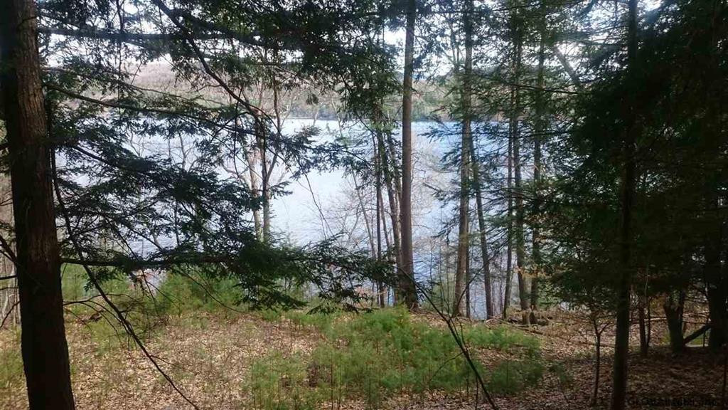 2459 North Shore Road Day, NY 12835 - Photo 14 of 25 Photo 14