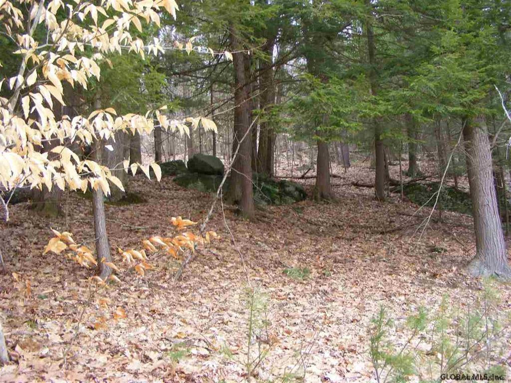 2459 North Shore Road Day, NY 12835 - Photo 25 of 25 Photo 25