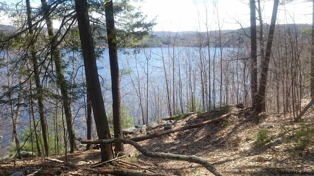 2459 North Shore Road Day, NY 12835 - Photo 6 of 25 Photo 6