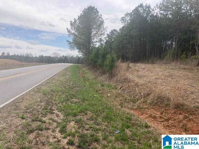 30 County Road, Unit 80 Cragford, AL 36255 - Photo 3 of 7