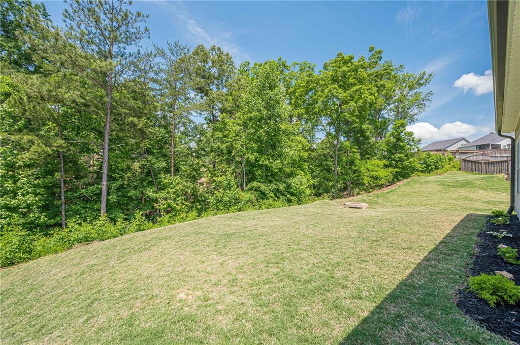 422 Murphy Avenue Canton, GA 30114 - Photo 44 of 63