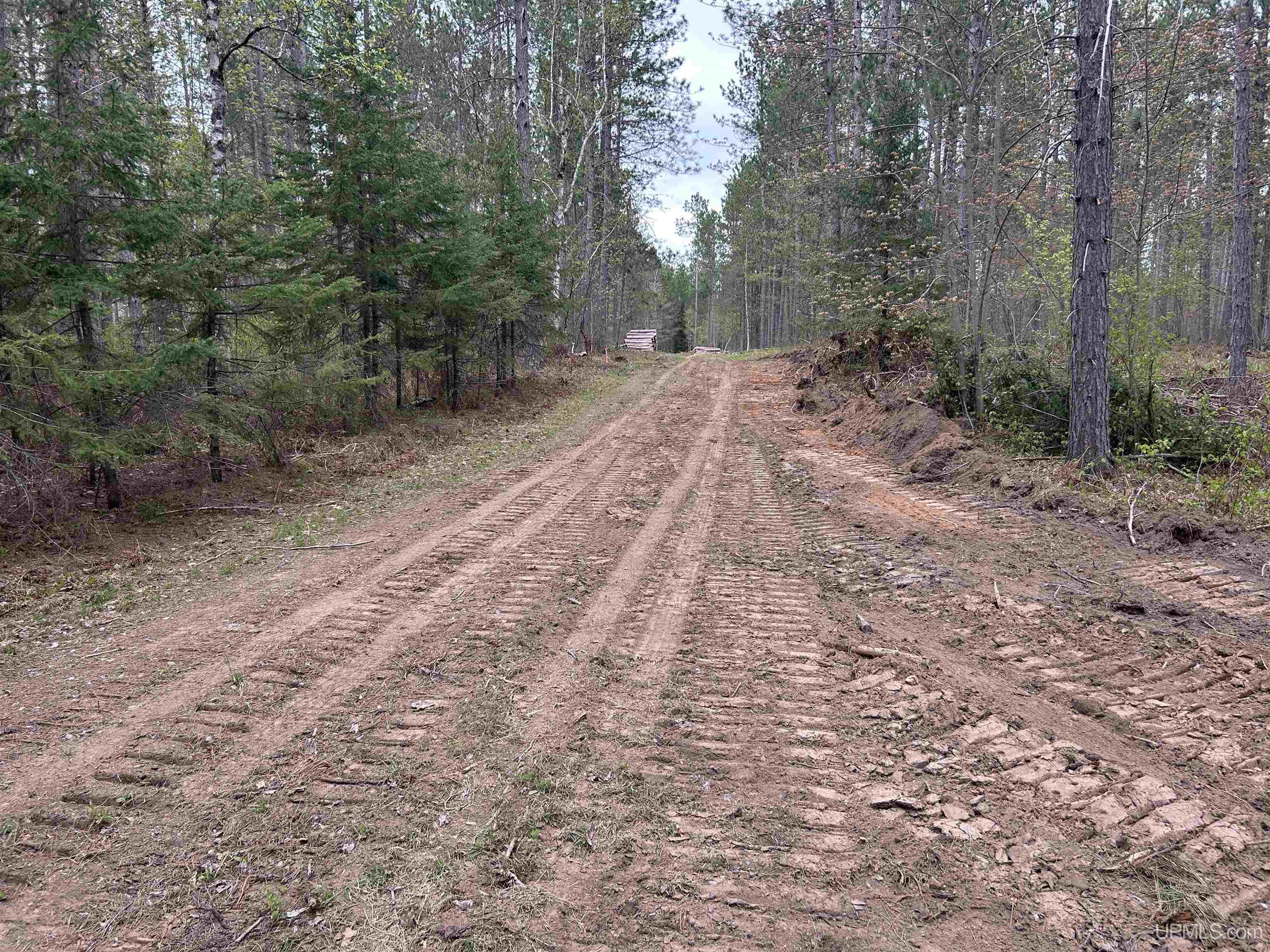 Tbd Parcel 2 Paint River Road Crystal Falls, MI 49920 - Photo 6 of 8