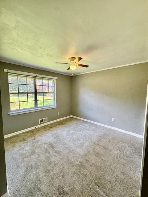 2846 Walton Way Augusta, GA 30909 - Photo 8 of 14 2846 Walton Way (6)
