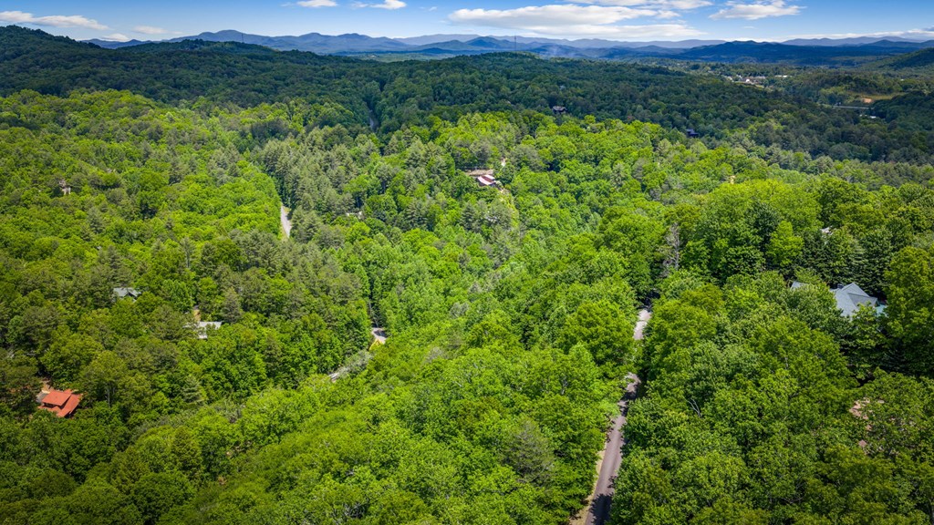 379 Dream Catcher Blue Ridge Blue Ridge, GA 30513 - Photo 20 of 28 a view of a lush green forest with trees and some houses