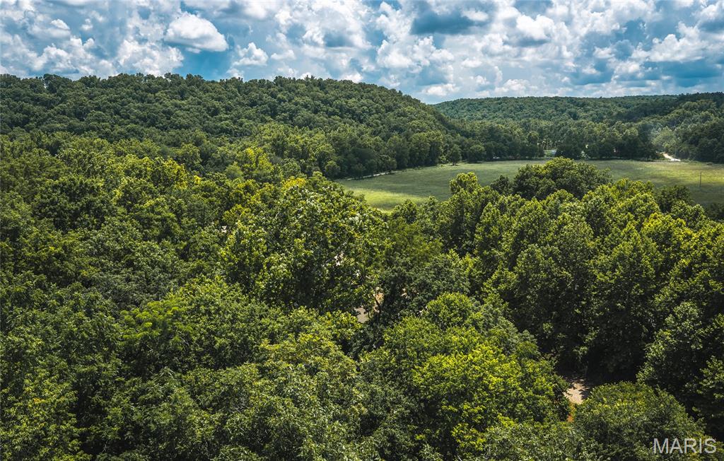 0 Green Ridge Drive Climax Springs, MO 65324 - Photo 2 of 28
