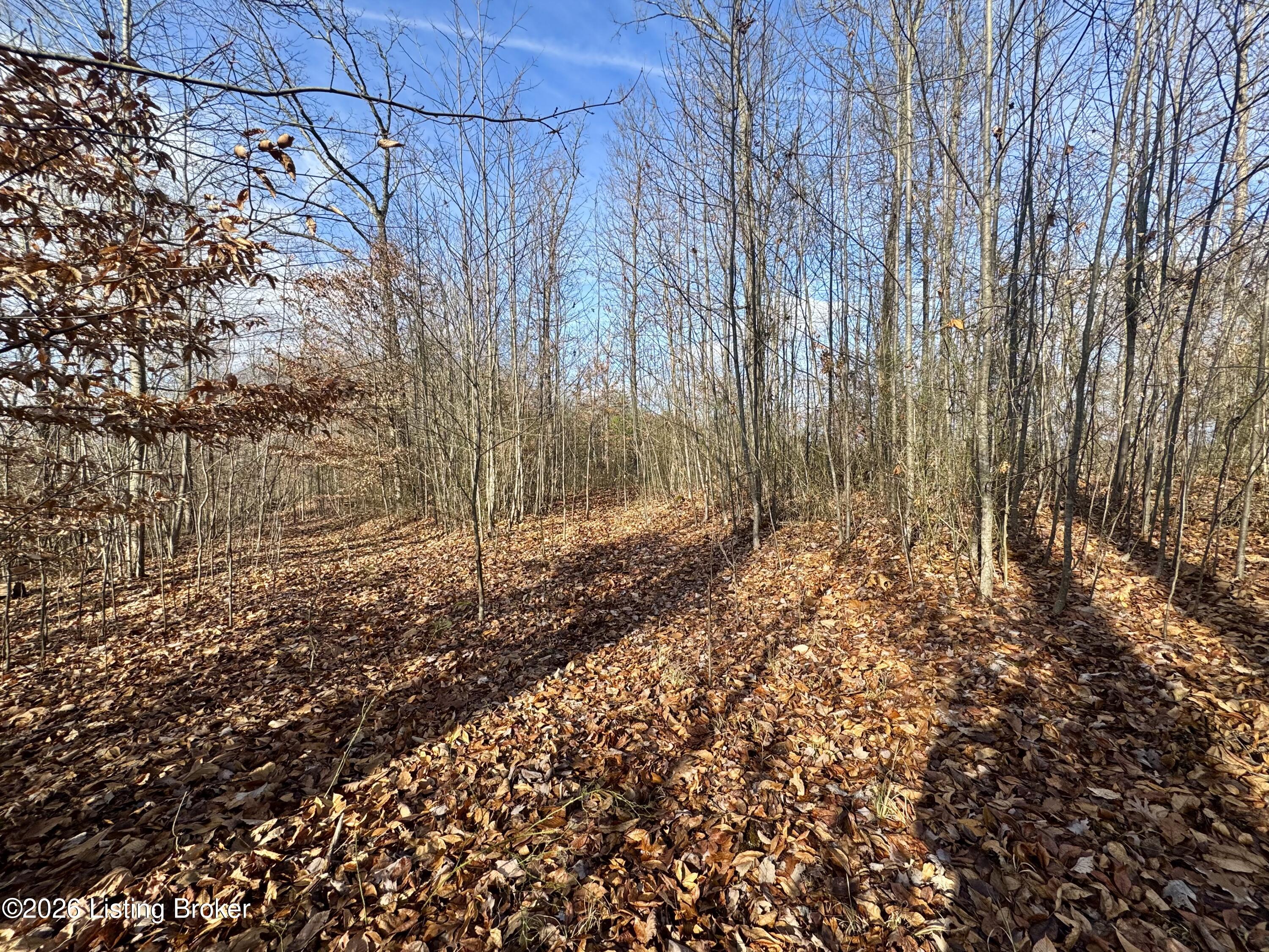 9-10 Winding Hollow Road Lebanon Junction, KY 40150 - Photo 43 of 43 PhotoNov302025,104906AM
