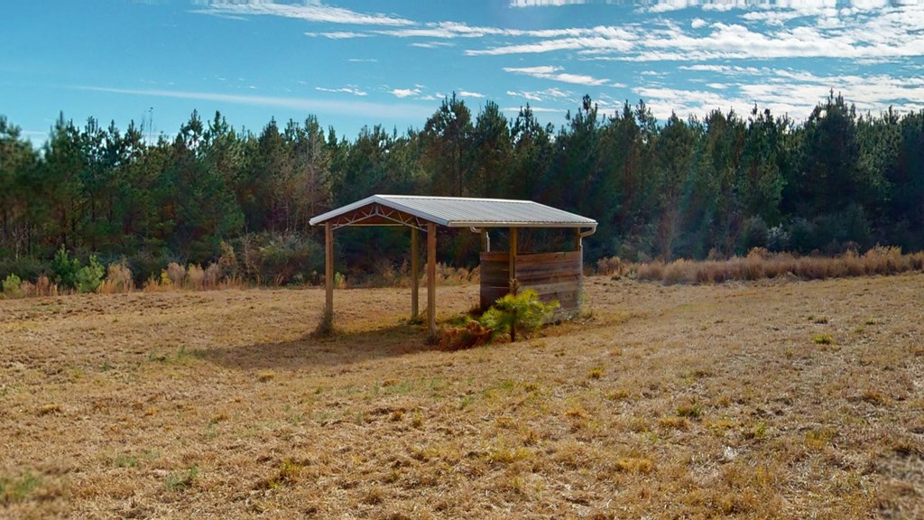 3662 Glen Chambers Road Florala, AL 36442 - Photo 27 of 48