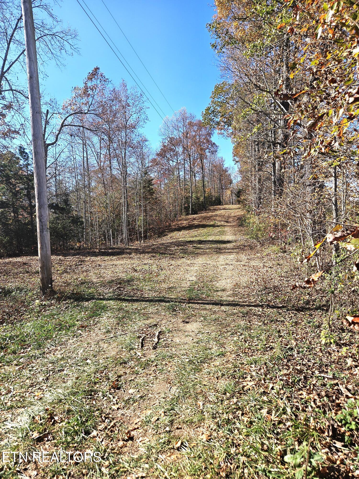 Walker Road Sharps Chapel, TN 37866 - Photo 11 of 15 Jamison Property 1