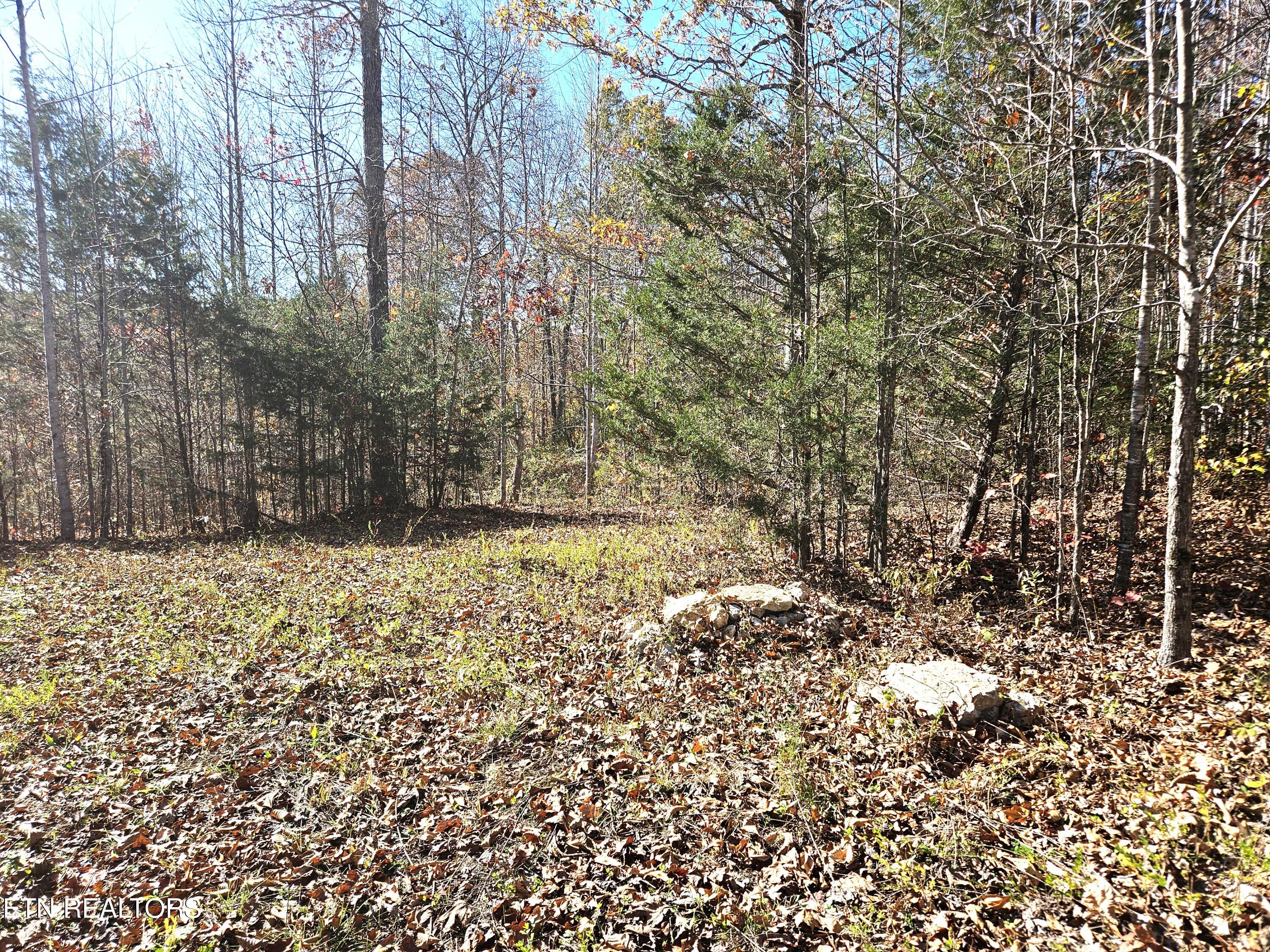Walker Road Sharps Chapel, TN 37866 - Photo 12 of 15 Jamison Property 6