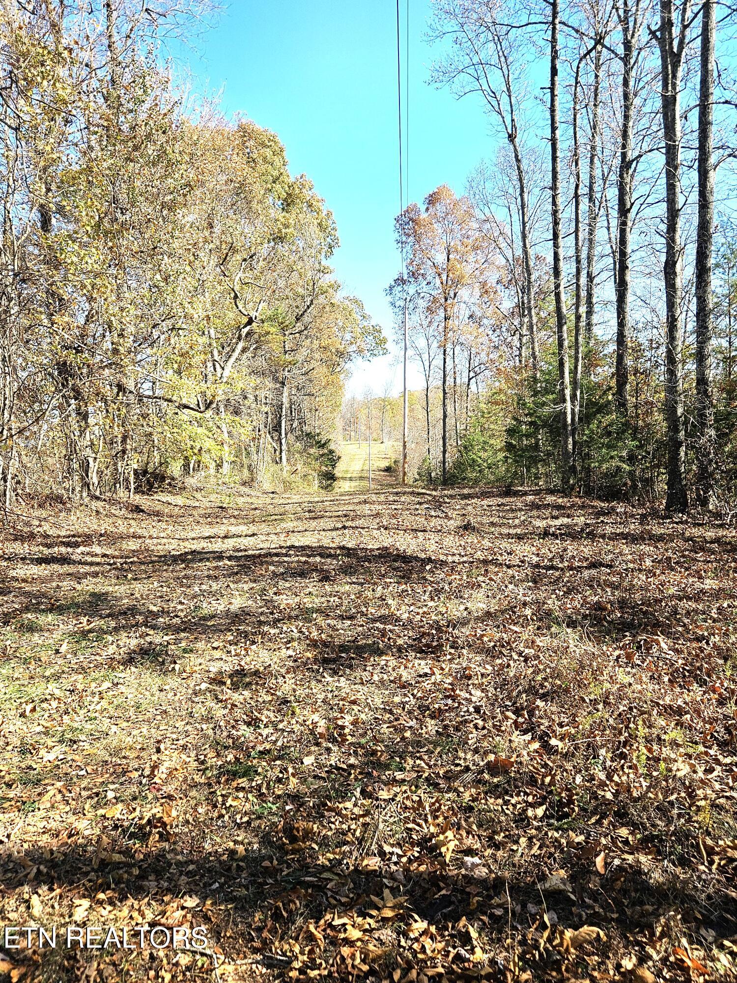 Walker Road Sharps Chapel, TN 37866 - Photo 15 of 15 Jamison Property 10