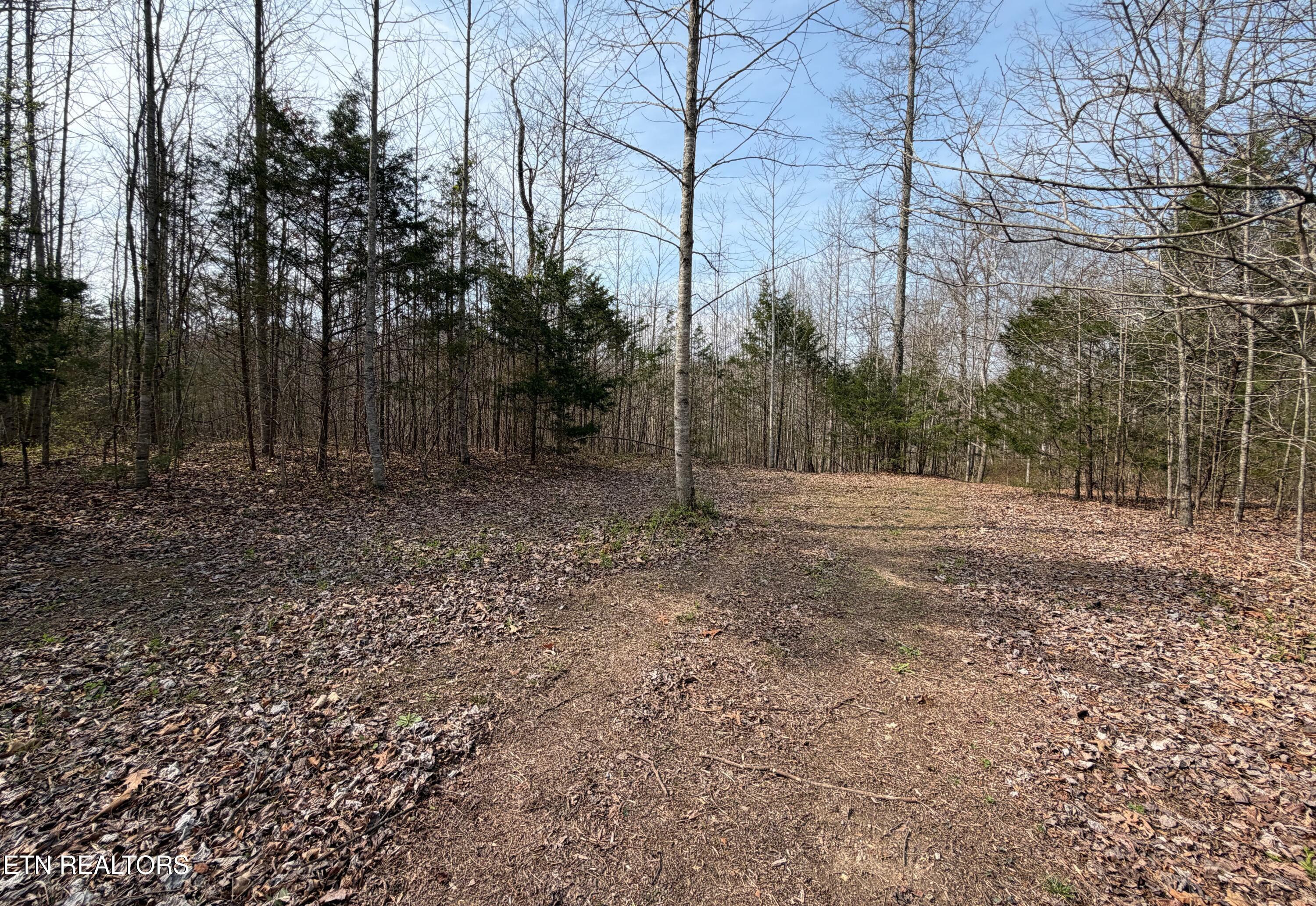 Walker Road Sharps Chapel, TN 37866 - Photo 2 of 15 New