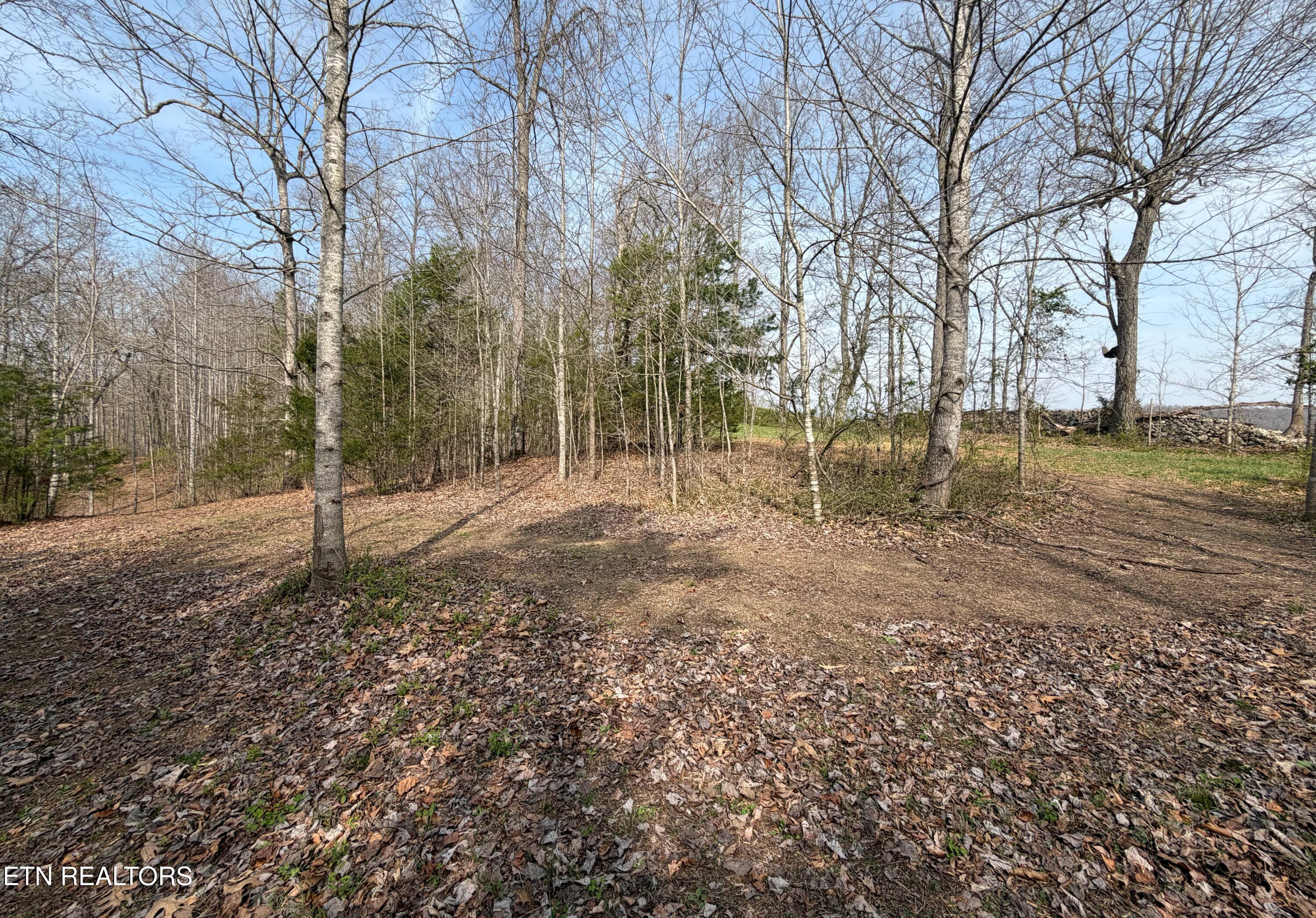 Walker Road Sharps Chapel, TN 37866 - Photo 5 of 15 New 5