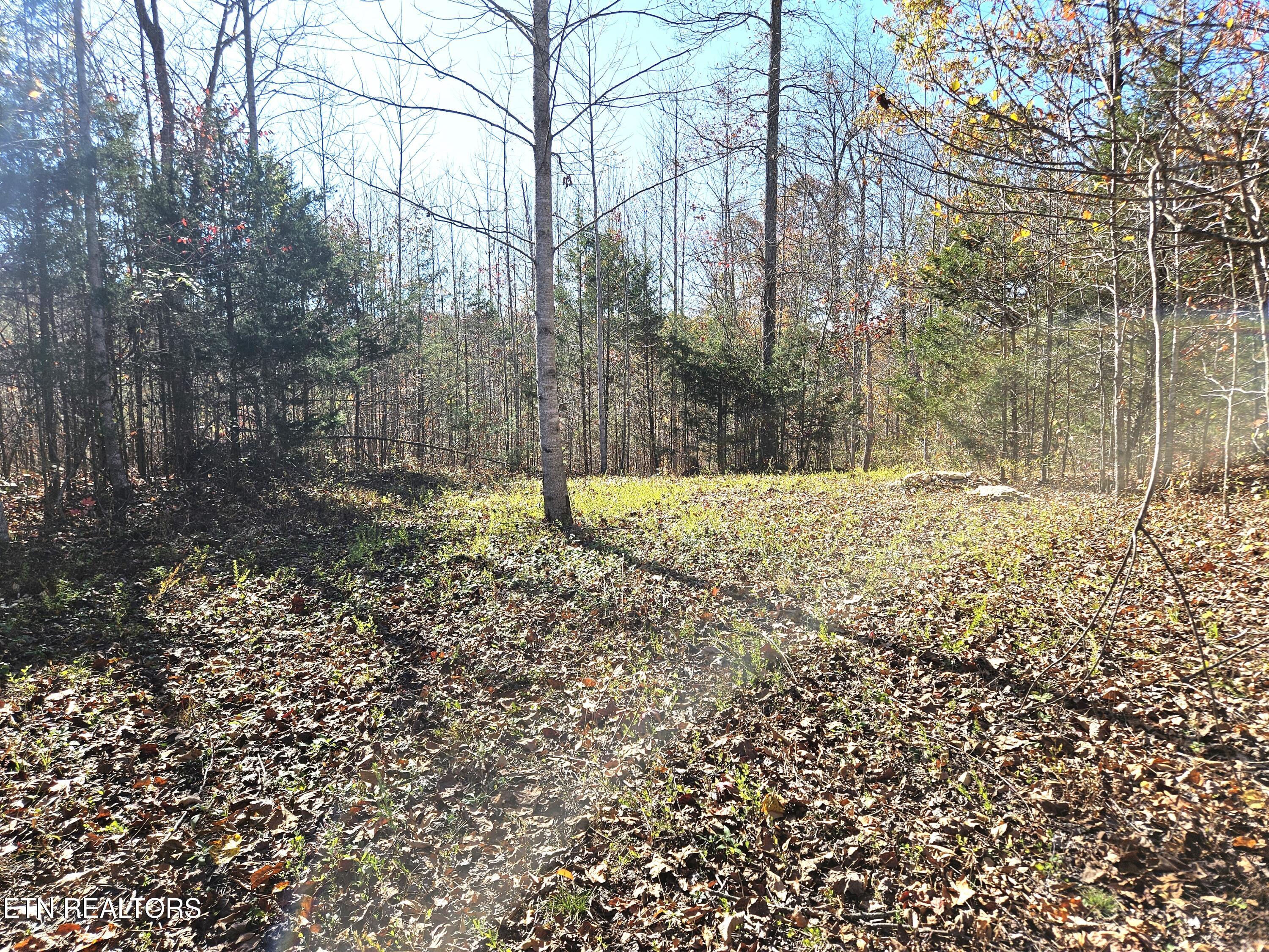 Walker Road Sharps Chapel, TN 37866 - Photo 6 of 15 Jamison Property 7