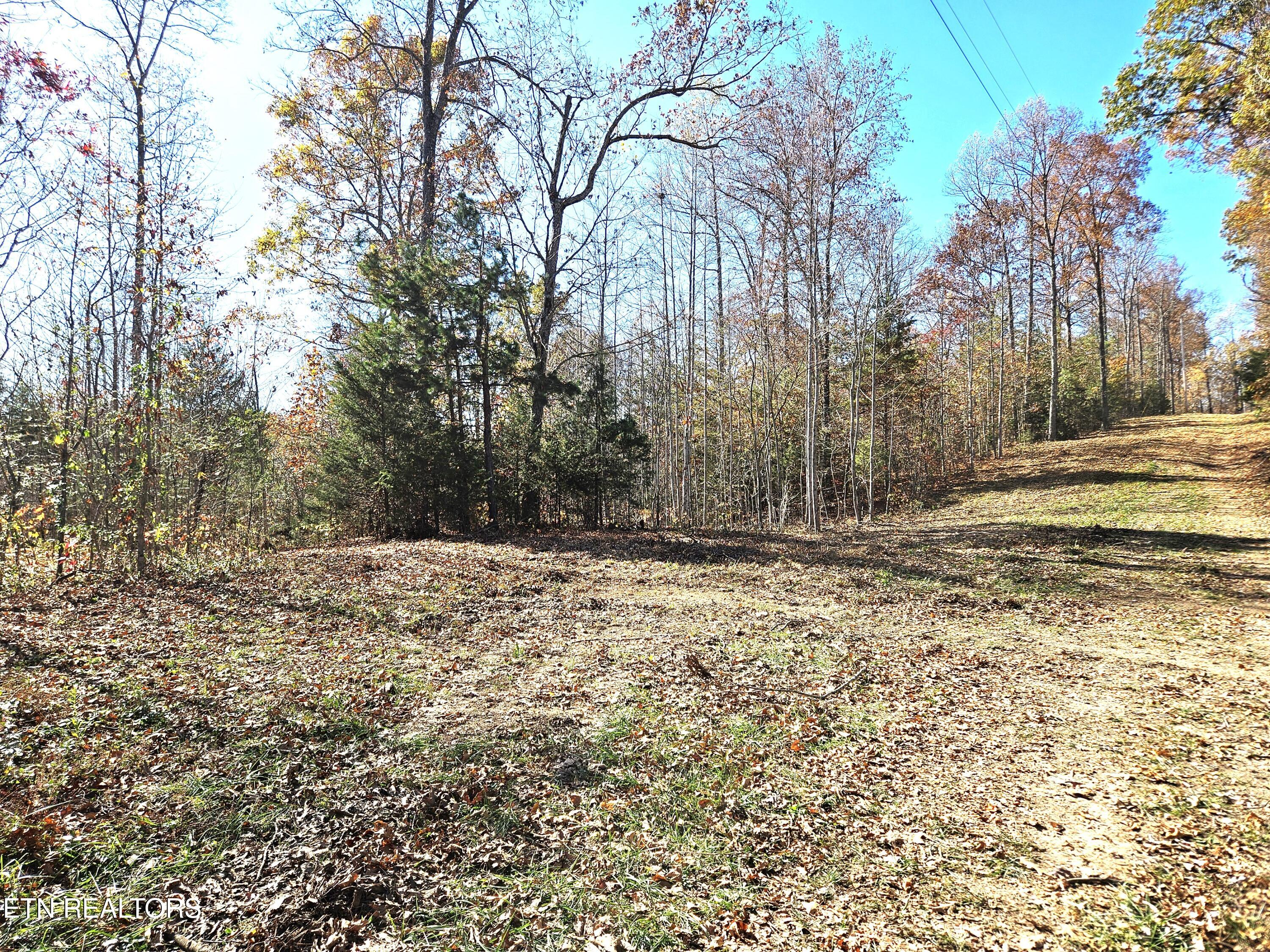 Walker Road Sharps Chapel, TN 37866 - Photo 8 of 15 Jamison Property 5