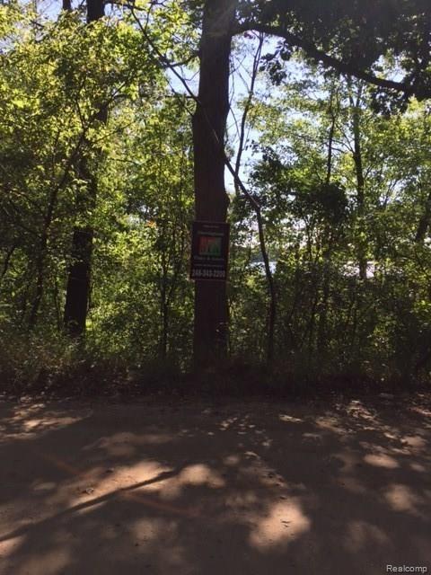 Parcel B Parcel B Big Lake Road Davisburg, MI 48350 - Photo 1 of 1