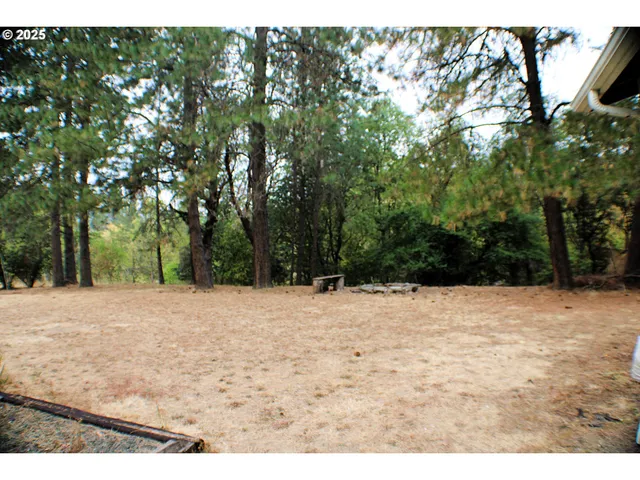 a backyard of a house with lots of trees