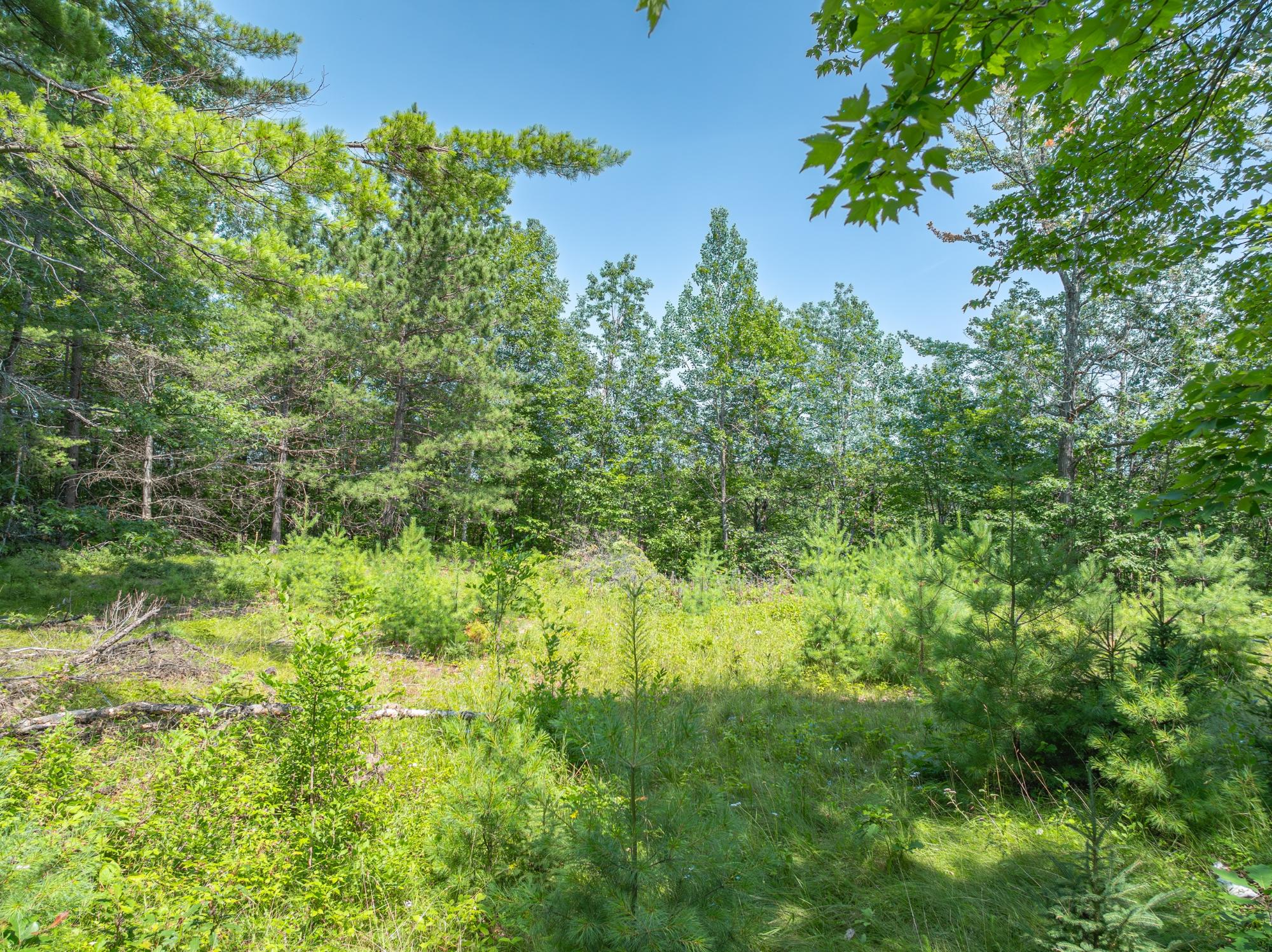 7661 Emerson Road Lake Tomahawk, WI 54539 - Photo 11 of 22 Gallery Image 11