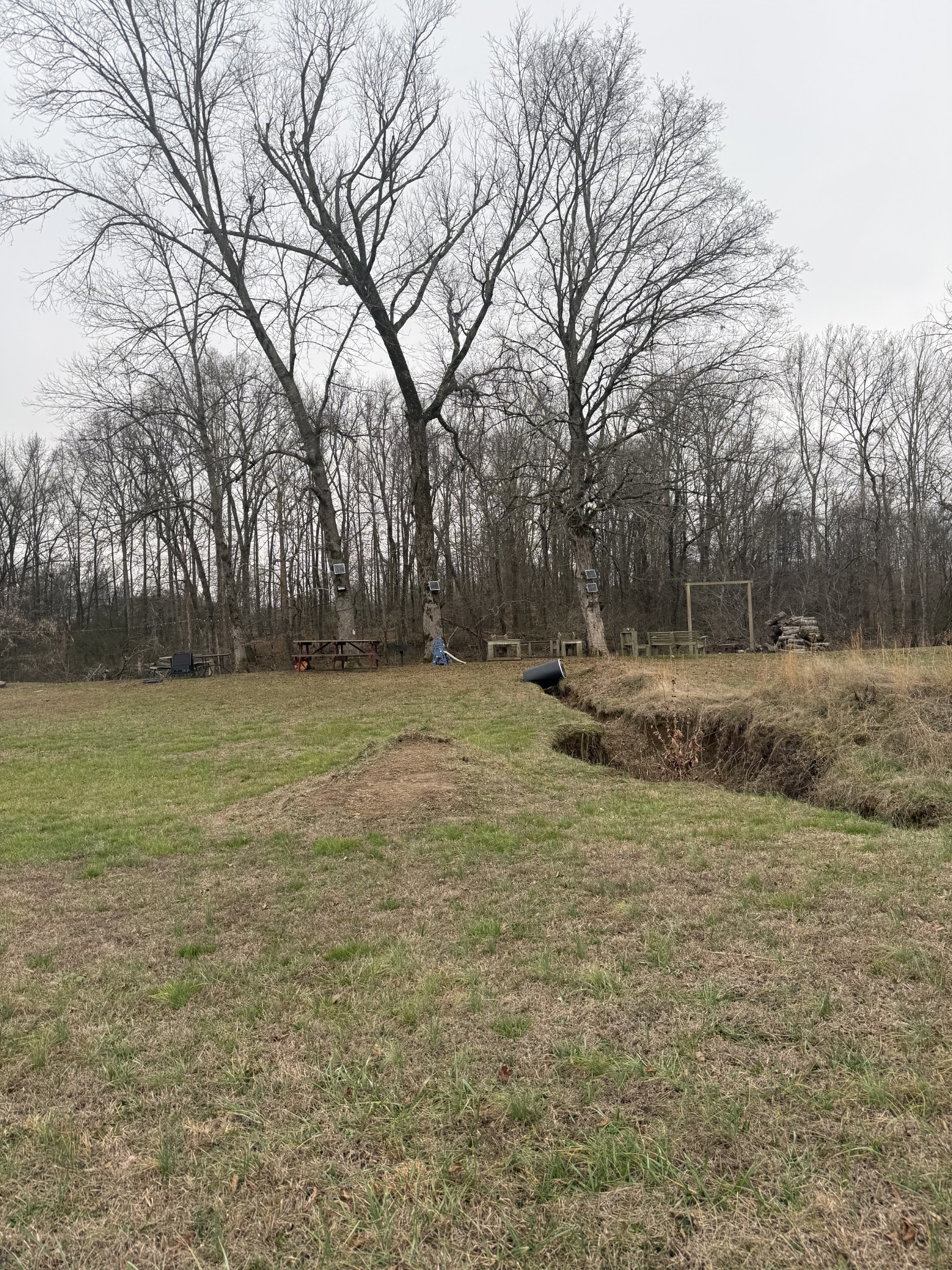 a view of outdoor space with deck and yard