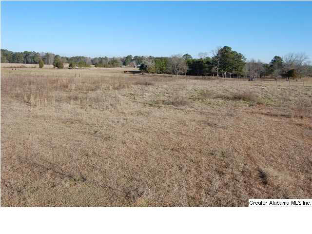 993 County Road, Unit 8/13/12 Clanton, AL 35045 - Photo 1 of 9