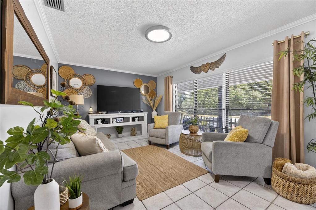 6609 Jennifer Drive Temple Terrace, FL 33617 - Photo 11 of 49 a living room with furniture and a flat screen tv