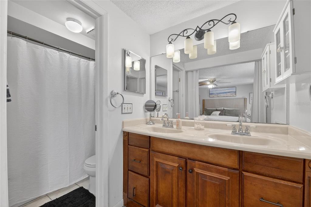6609 Jennifer Drive Temple Terrace, FL 33617 - Photo 24 of 49 a bathroom with a sink vanity mirror and a toilet