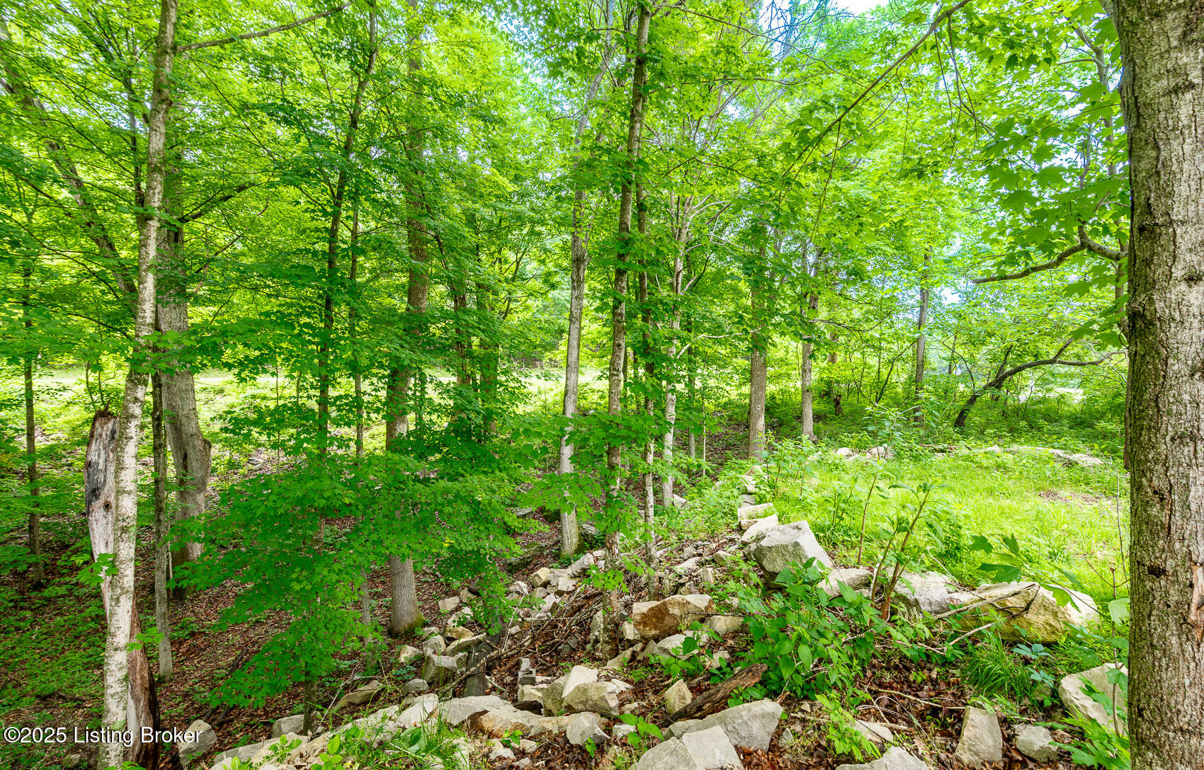 971 Constantine Road Cecilia, KY 42724 - Photo 60 of 71 CNR-132