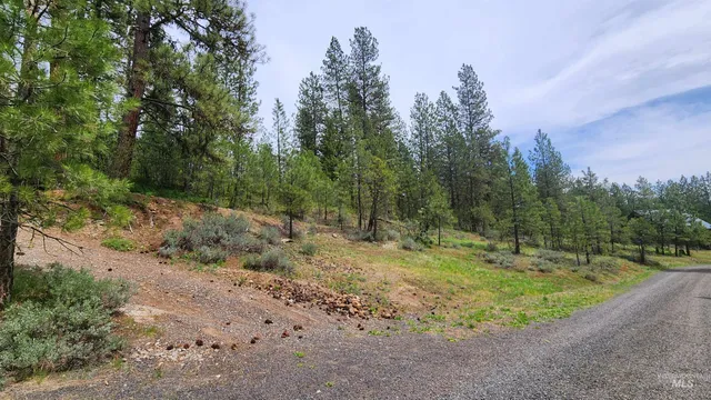 $115,000 | Tbd Kimberland Drive, New Meadows, ID 83654