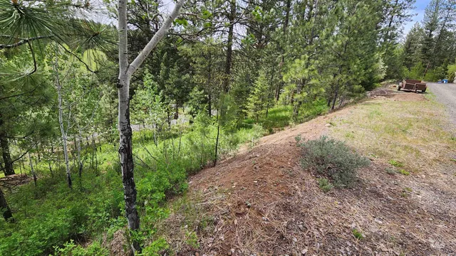 $115,000 | Tbd Kimberland Drive, New Meadows, ID 83654