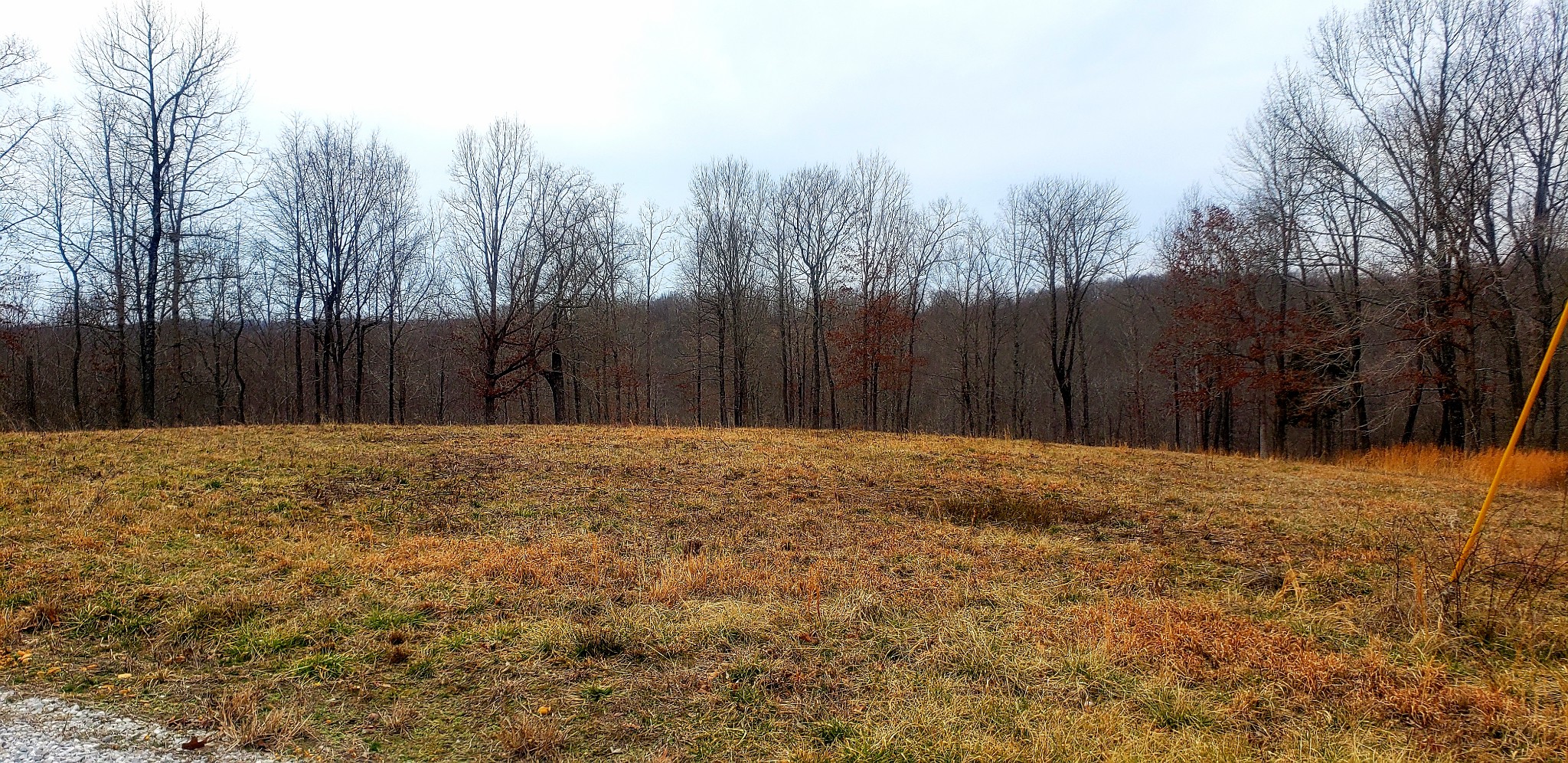 0 Barge Road Waverly, TN 37185 - Photo 2 of 7 Gallery Image 2