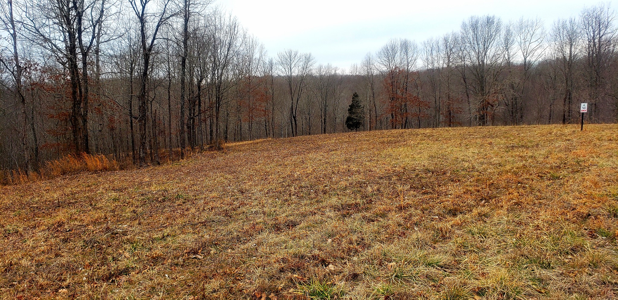 0 Barge Road Waverly, TN 37185 - Photo 3 of 7 Gallery Image 3