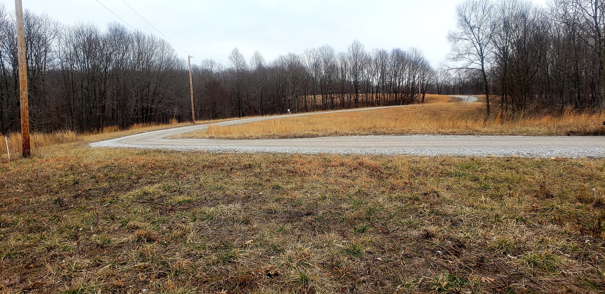 0 Barge Road Waverly, TN 37185 - Photo 6 of 7 Gallery Image 6