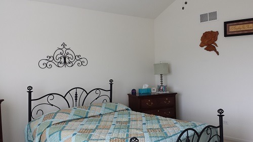 1309 Bluejay Lane Plainfield, IL 60586 - Photo 11 of 20